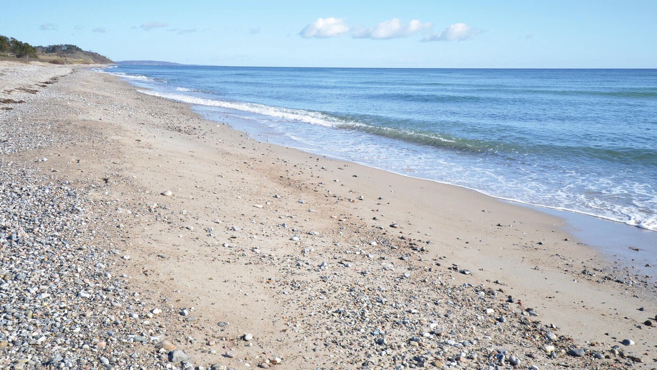 Photo of Others in Elsegarde Strand