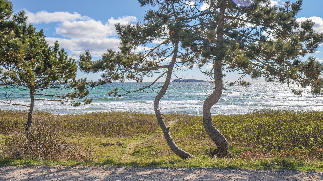 Photo of Others in Elsegarde Strand
