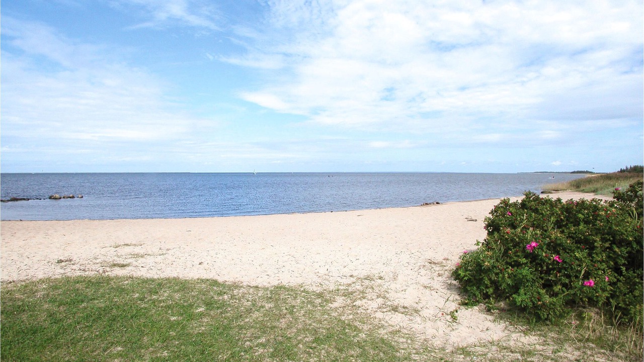 Photo of Others in Bork Havn