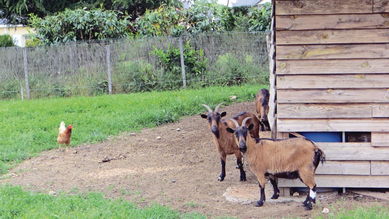 Photo of Others in Brain-sur-Allonnes