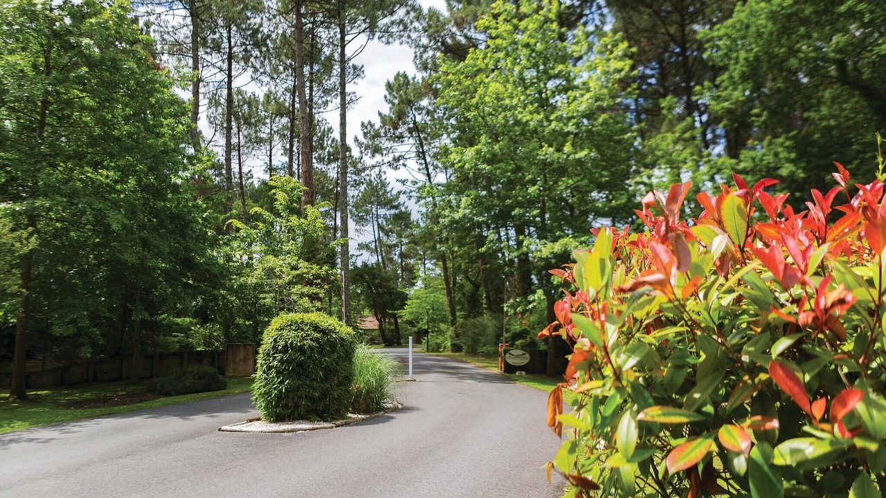 Photo of Others in Moliets-et-Maa