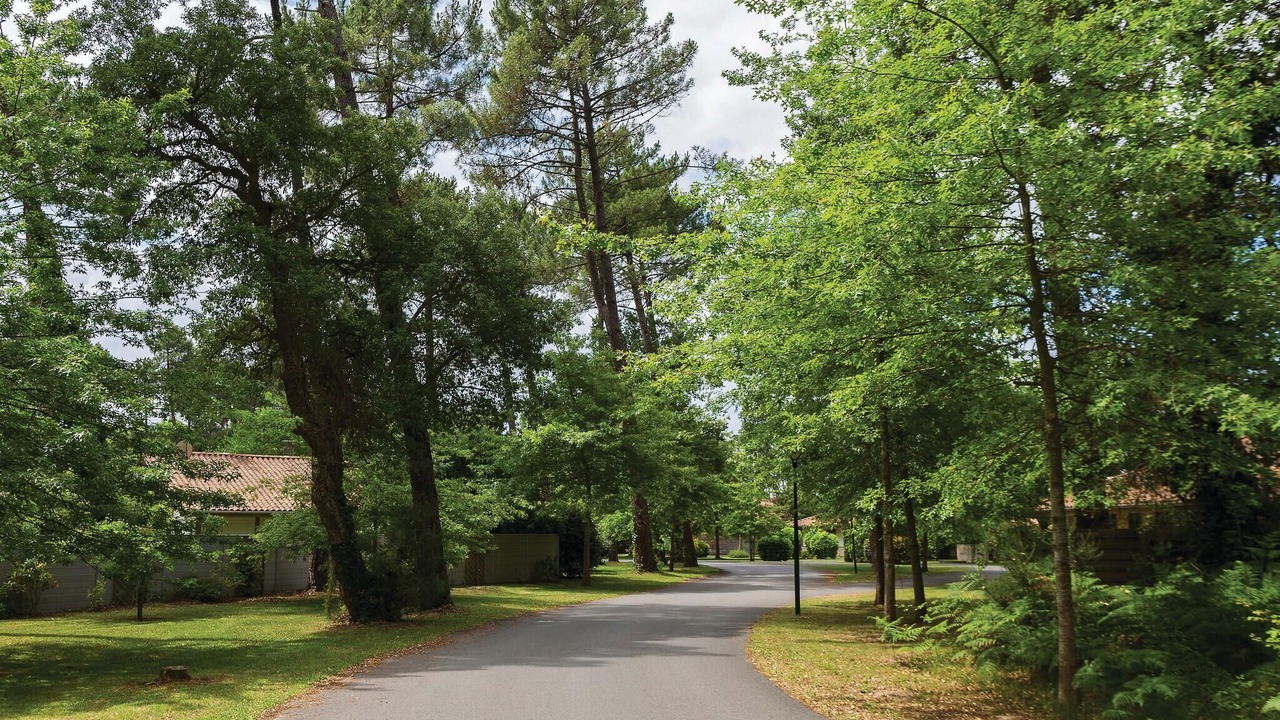 Photo of Others in Moliets-et-Maa