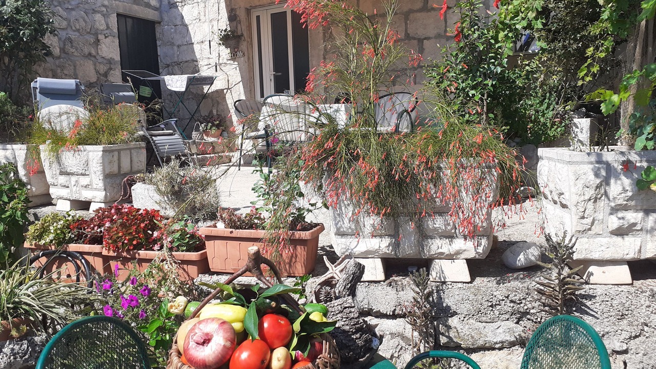 Photo of Patio Balcony in Brsecine
