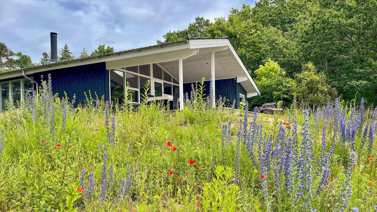 Photo of Outdoor in Knebel