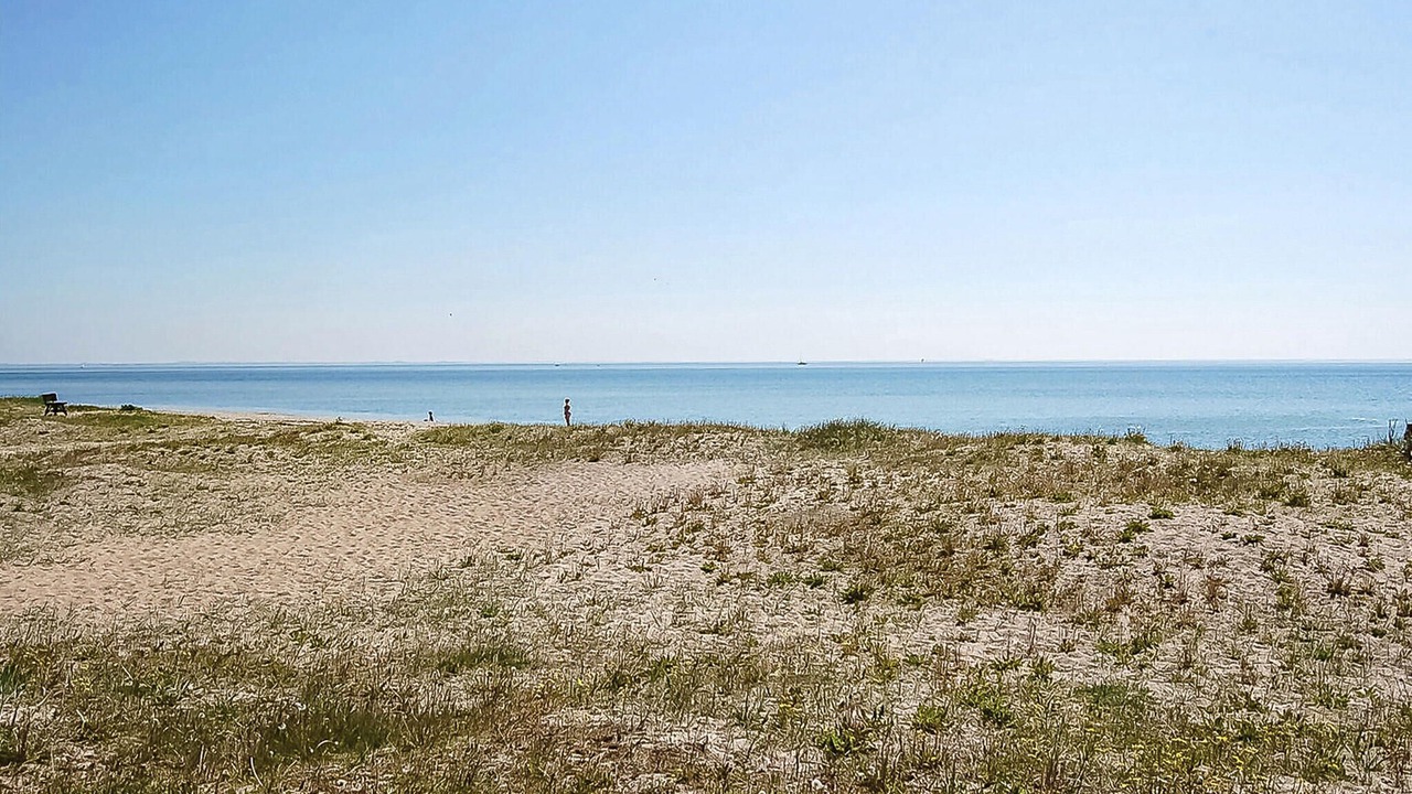 Photo of Others in Flovt Strand