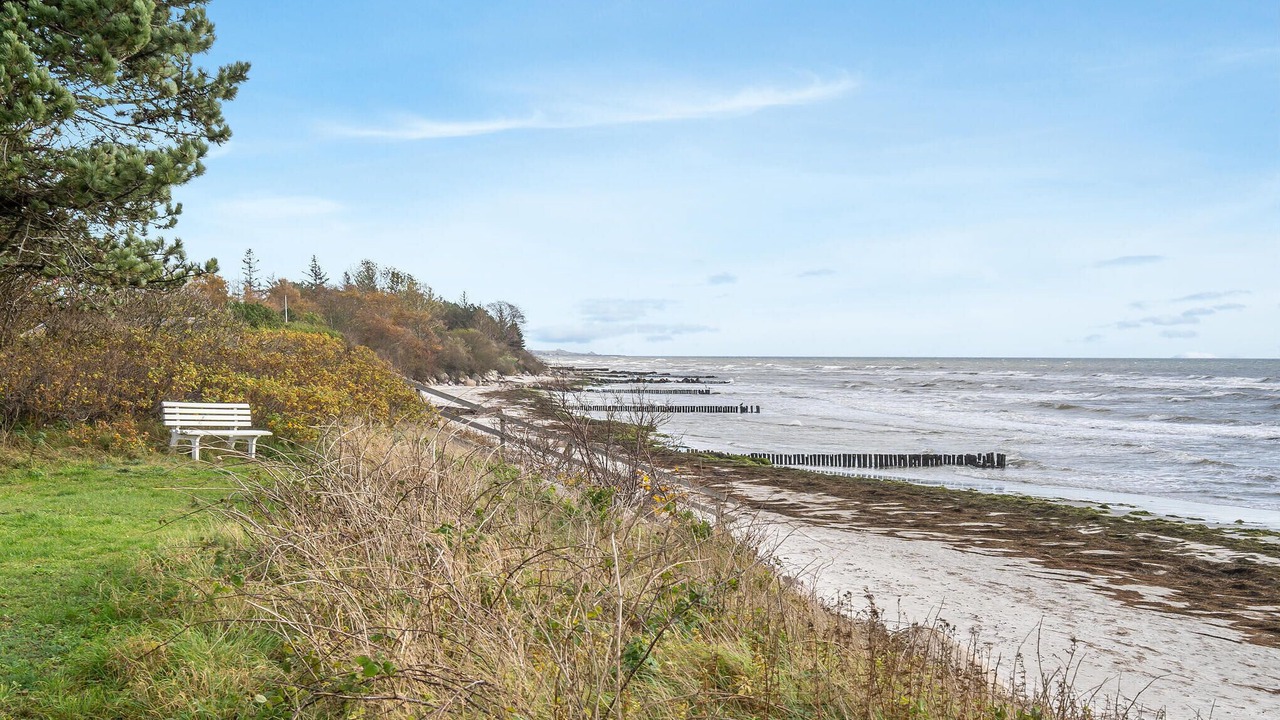 Photo of Others in Stege