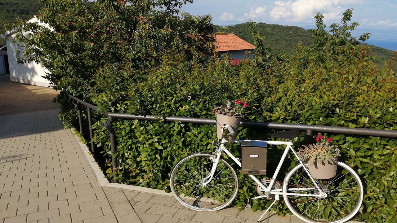 Photo of Outdoor in Brsec