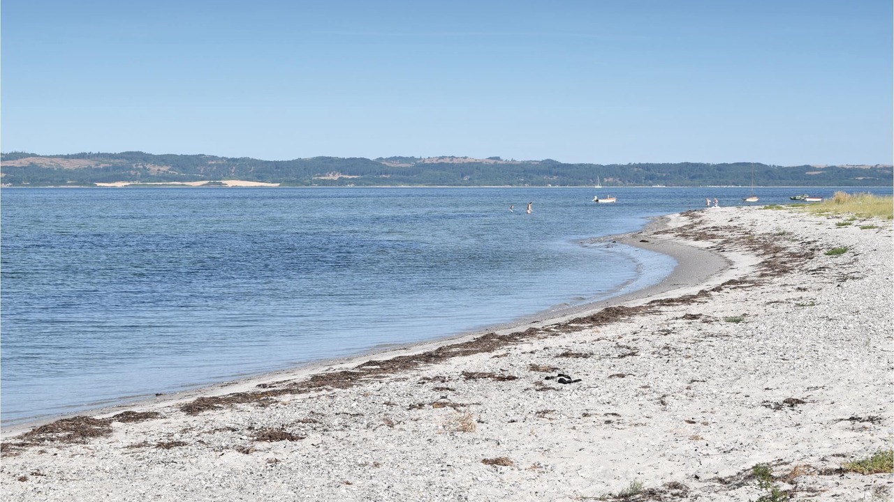 Photo of Others in Øer Strand