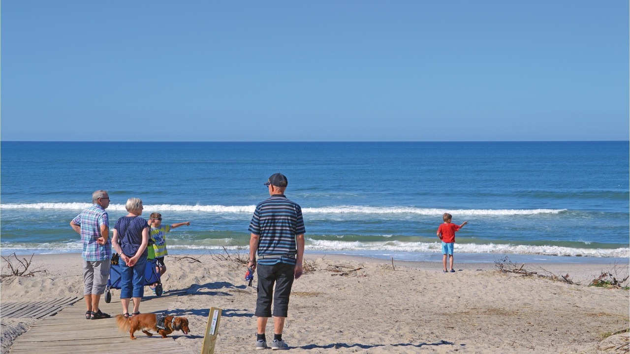 Photo of Others in Lodbjerg Hede