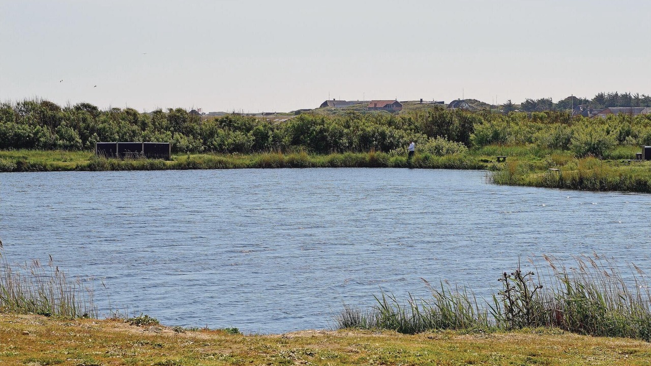 Photo of Others in Lodbjerg Hede