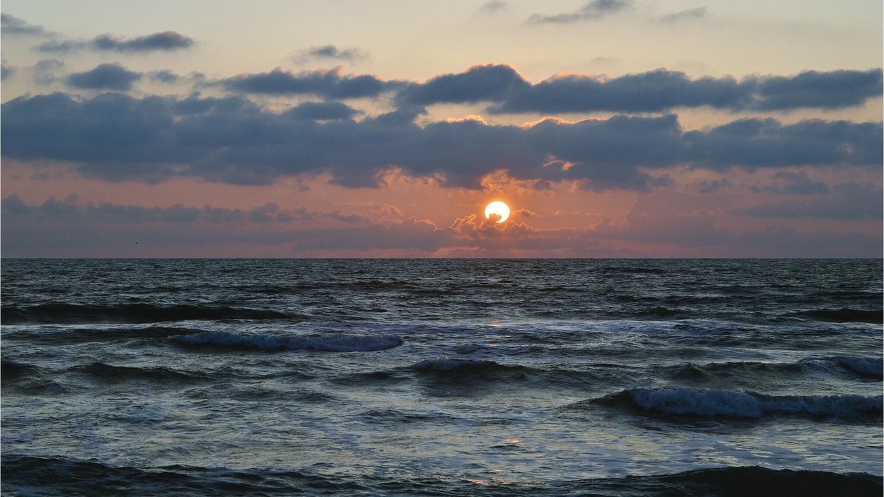Photo of Others in Lodbjerg Hede