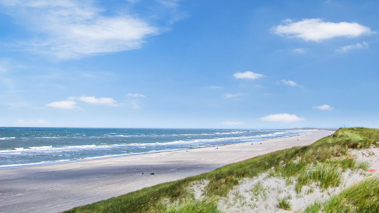 Photo of Others in Bjerregaard