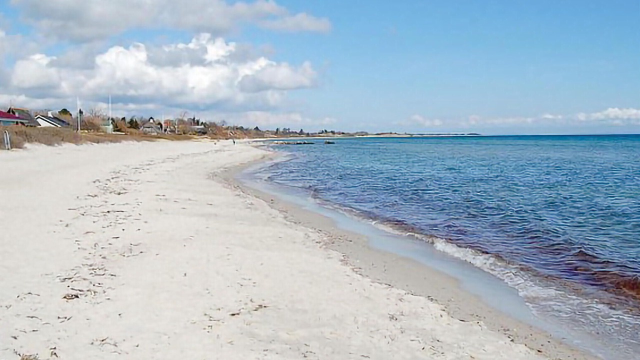 Photo of Others in Saksild Strand