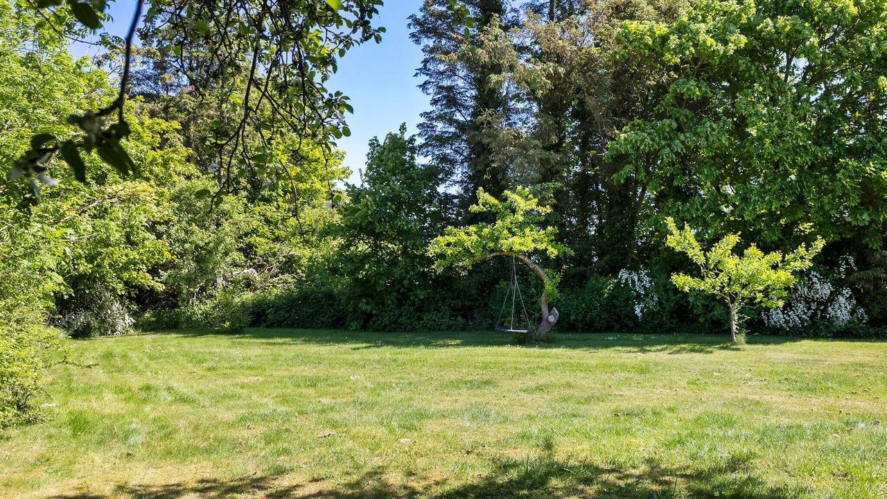 Photo of Others in Saksild Strand