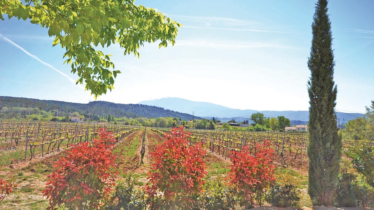 Photo of Bedroom in Saint-Marcellin-les-Vaison