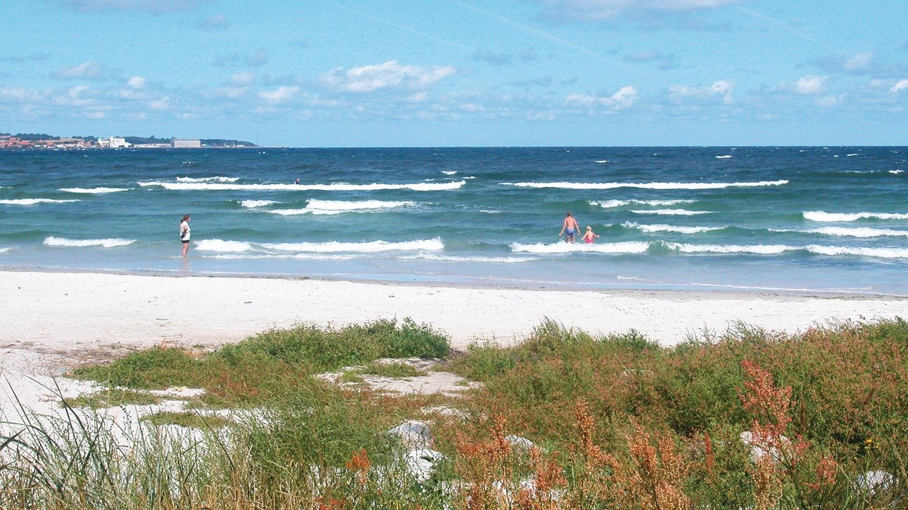 Photo of Others in Balka Strand