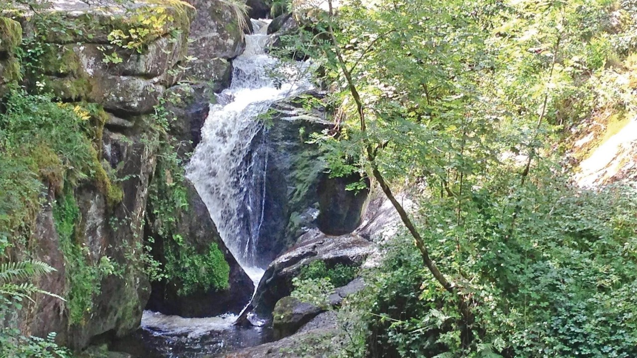 Photo of Others in Peyrat-le-Chateau