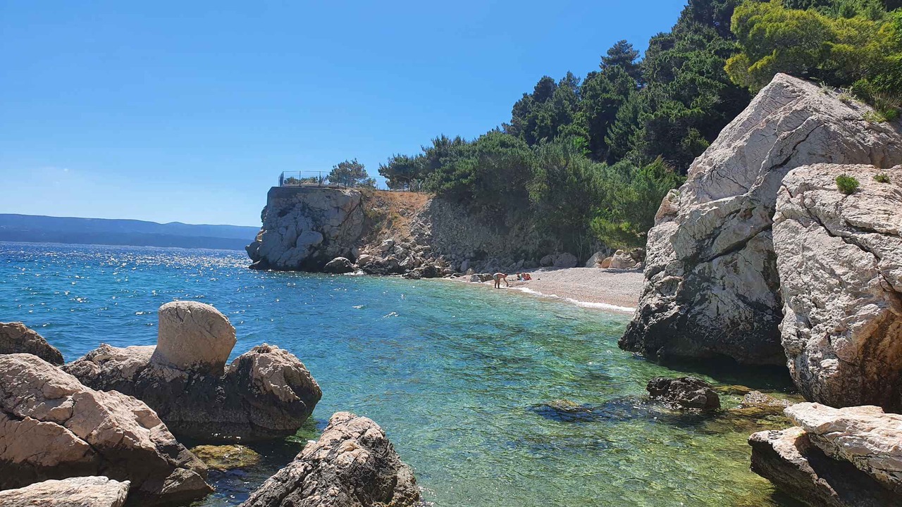 Photo of Others in Marusici