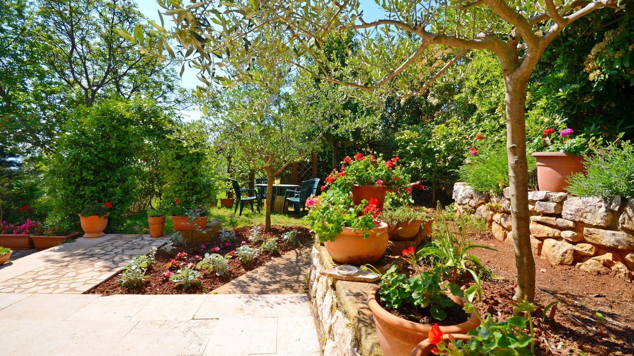 Photo of Outdoor in Ravni