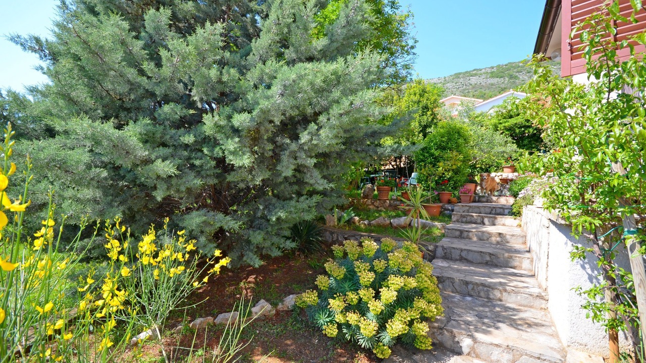 Photo of Outdoor in Ravni