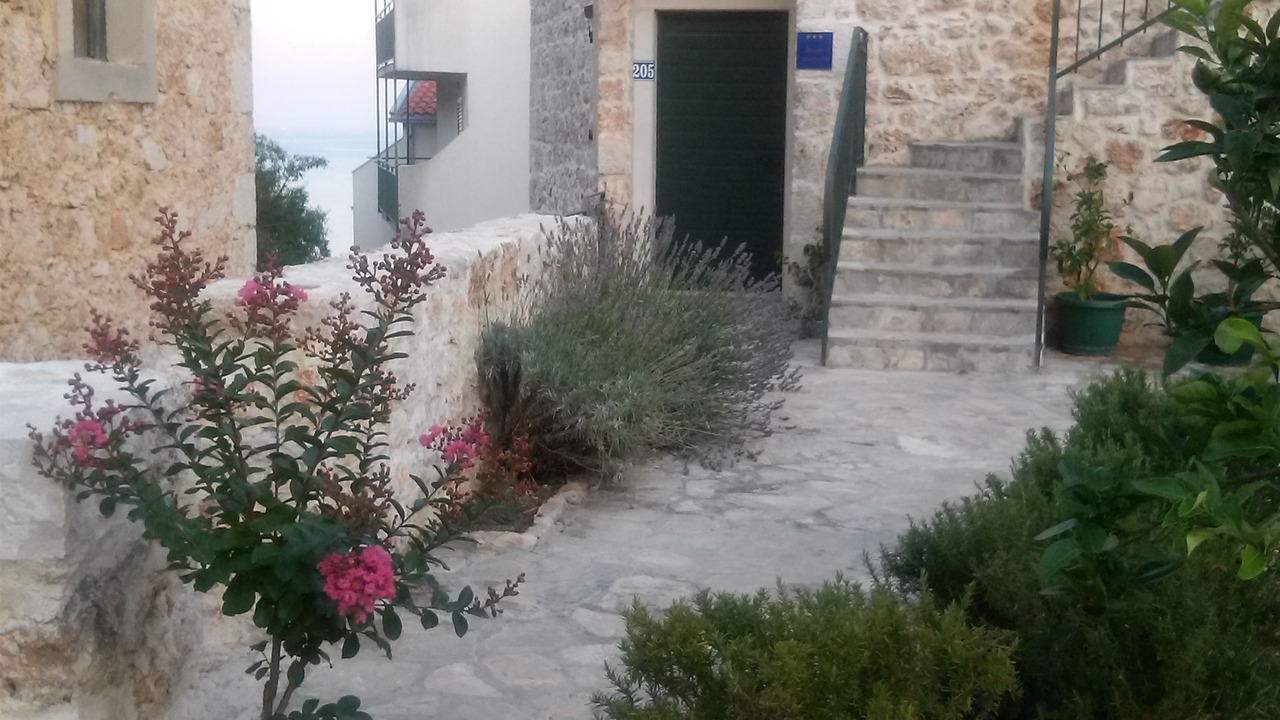 Photo of Outdoor in Igrane