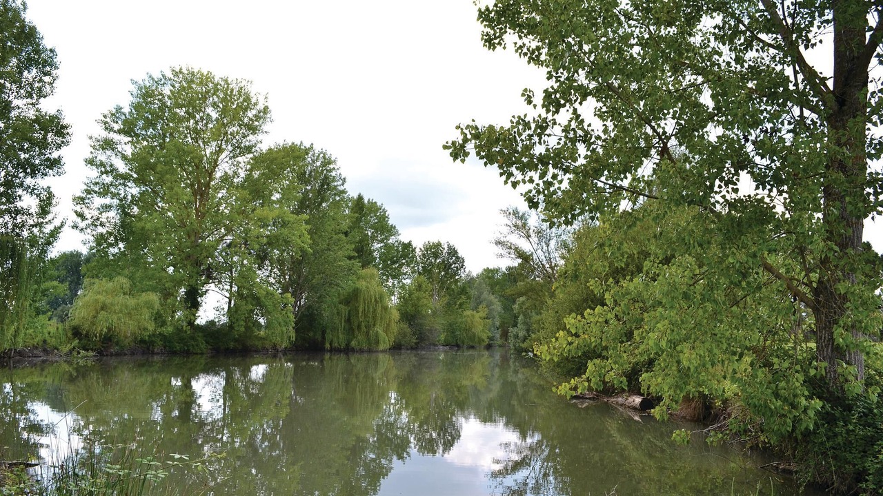 Photo of Others in Saint-Pierre-d'Eyraud