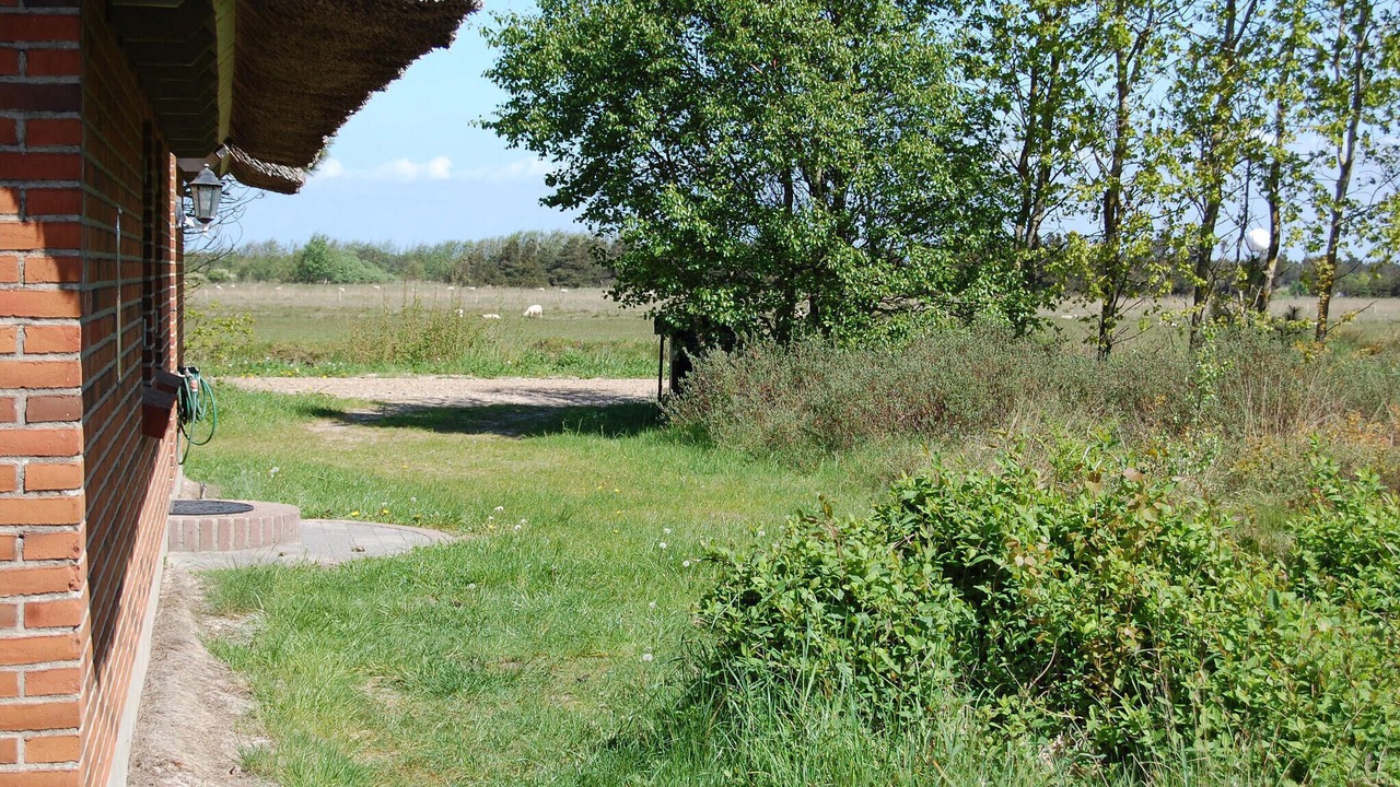 Photo of Others in Toftum