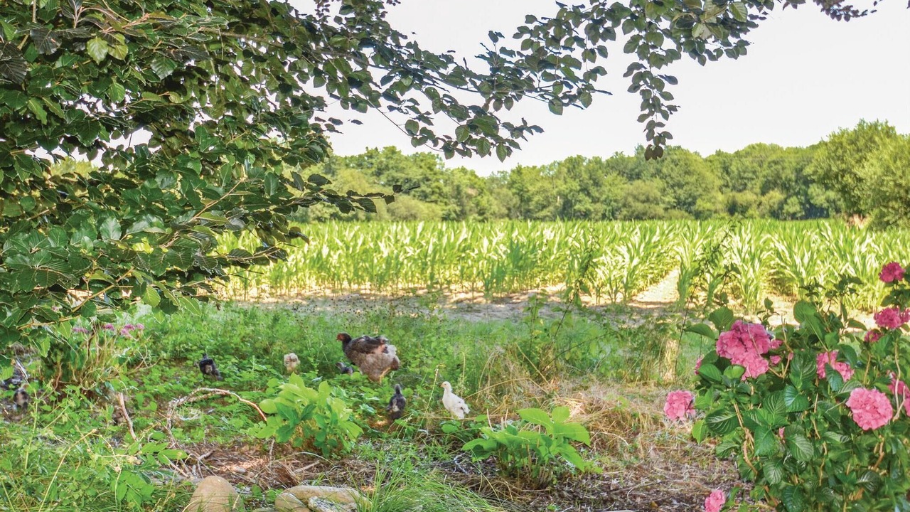 Photo of Others in Charritte-de-Bas