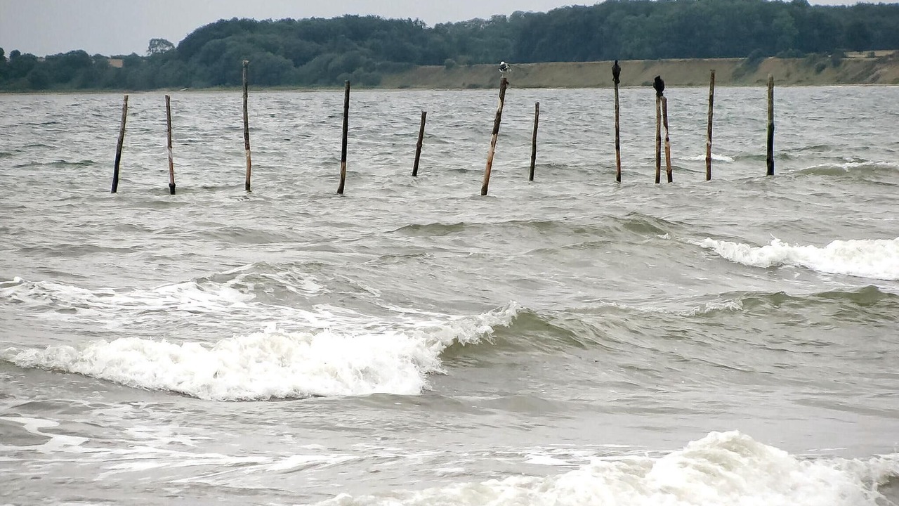 Photo of Others in Flovt Strand