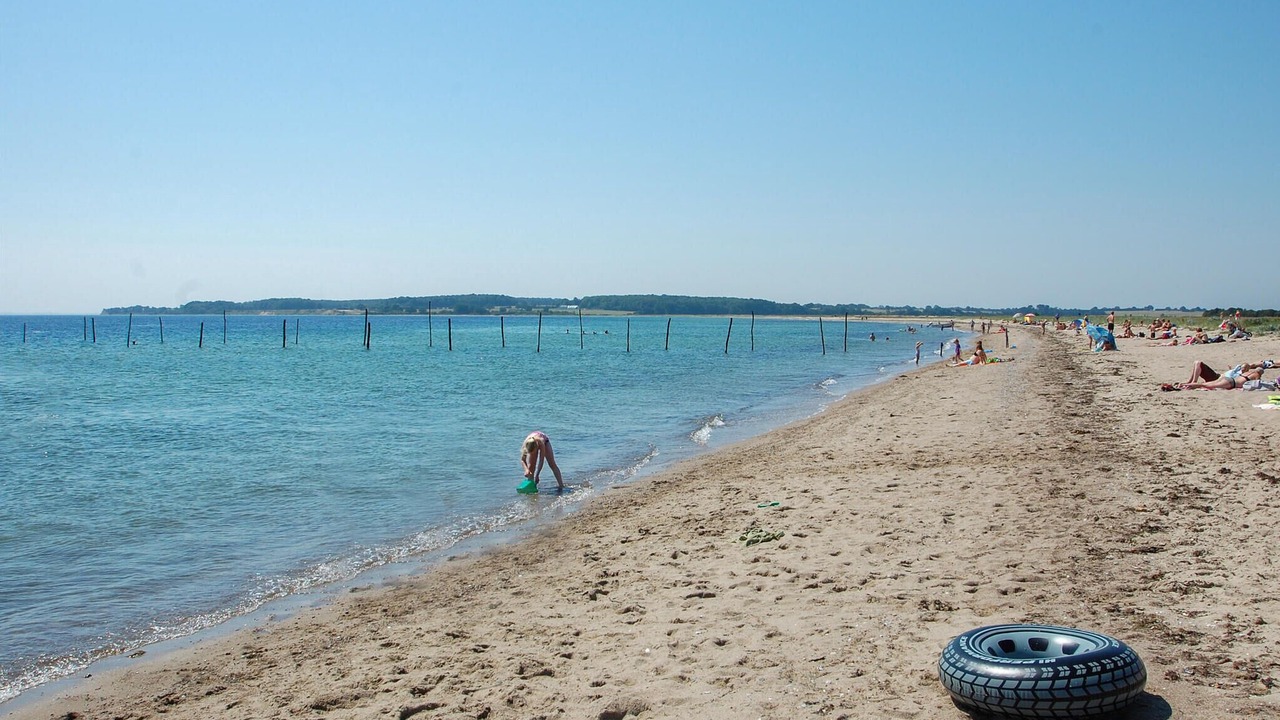 Photo of Others in Flovt Strand