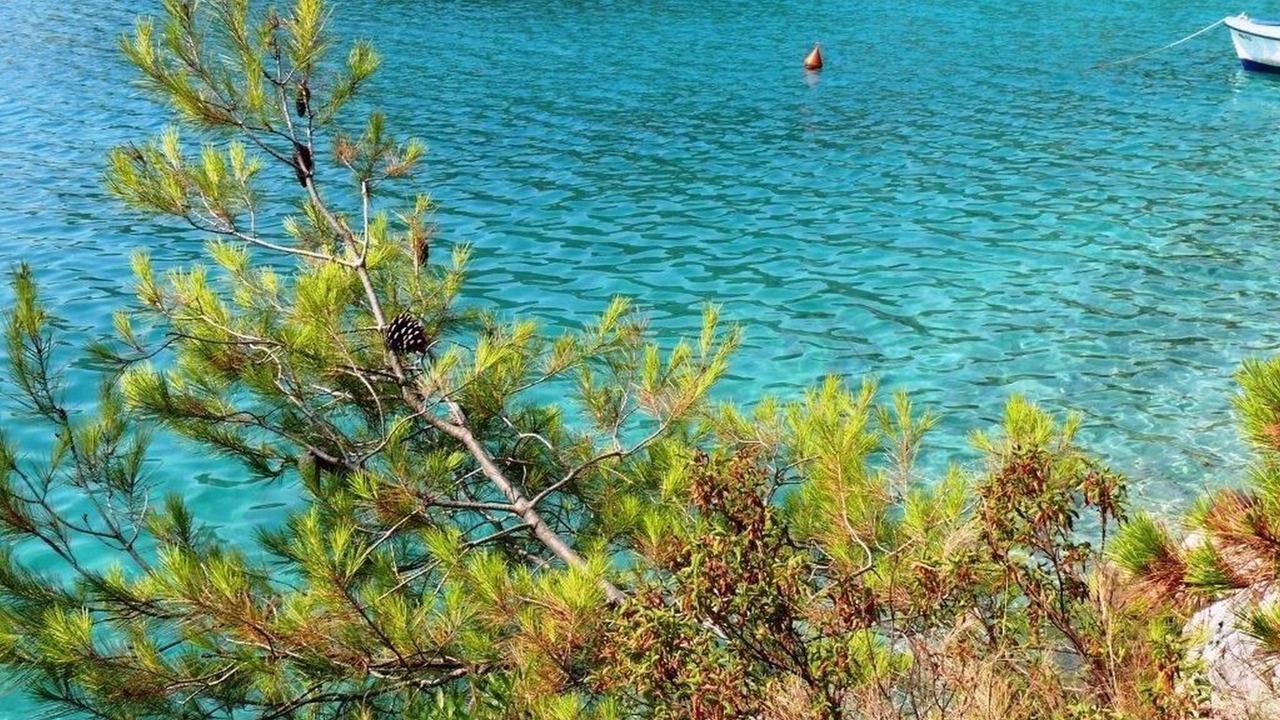 Photo of Others in Cove Osibova (Milna)