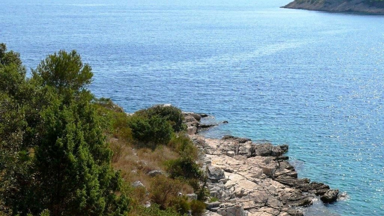 Photo of Others in Cove Osibova (Milna)