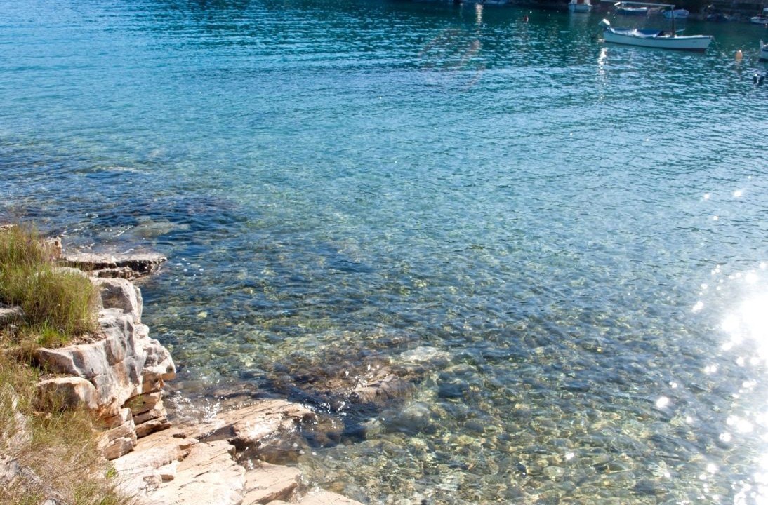 Photo of Others in Cove Osibova (Milna)