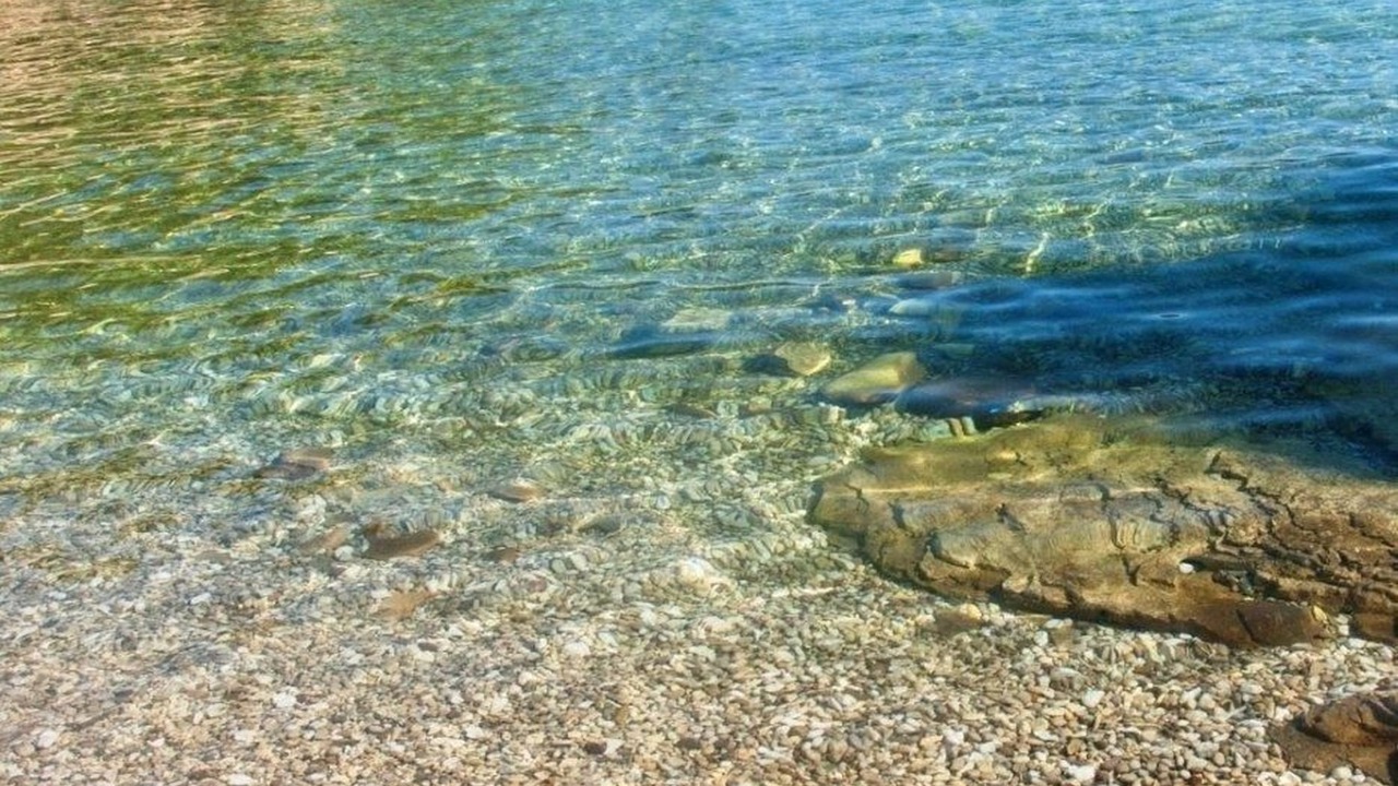 Photo of Others in Cove Osibova (Milna)