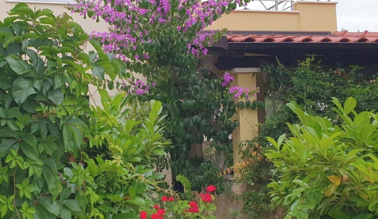 Photo of Outdoor in Cove Osibova (Milna)