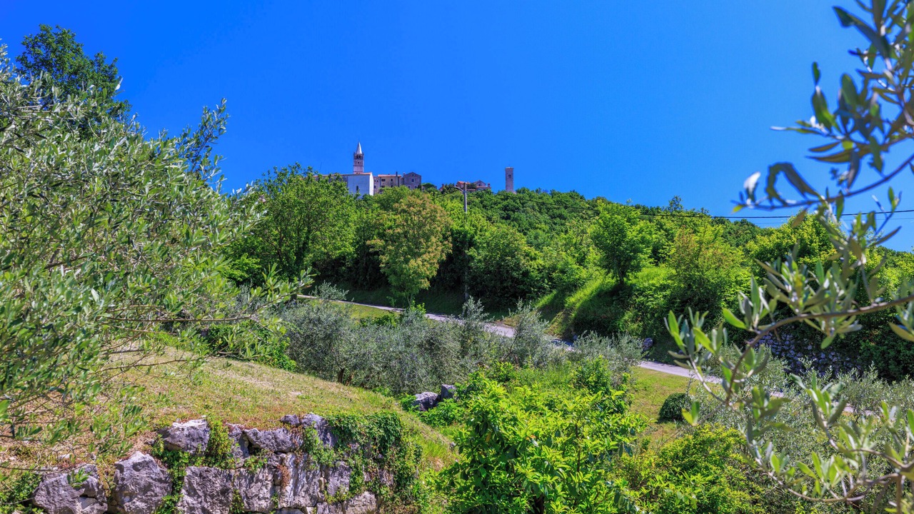 Photo of Others in Plomin