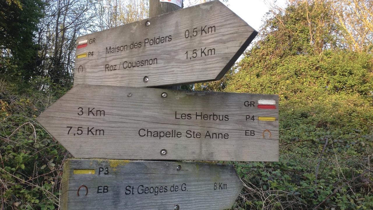 Photo of Others in Hirel