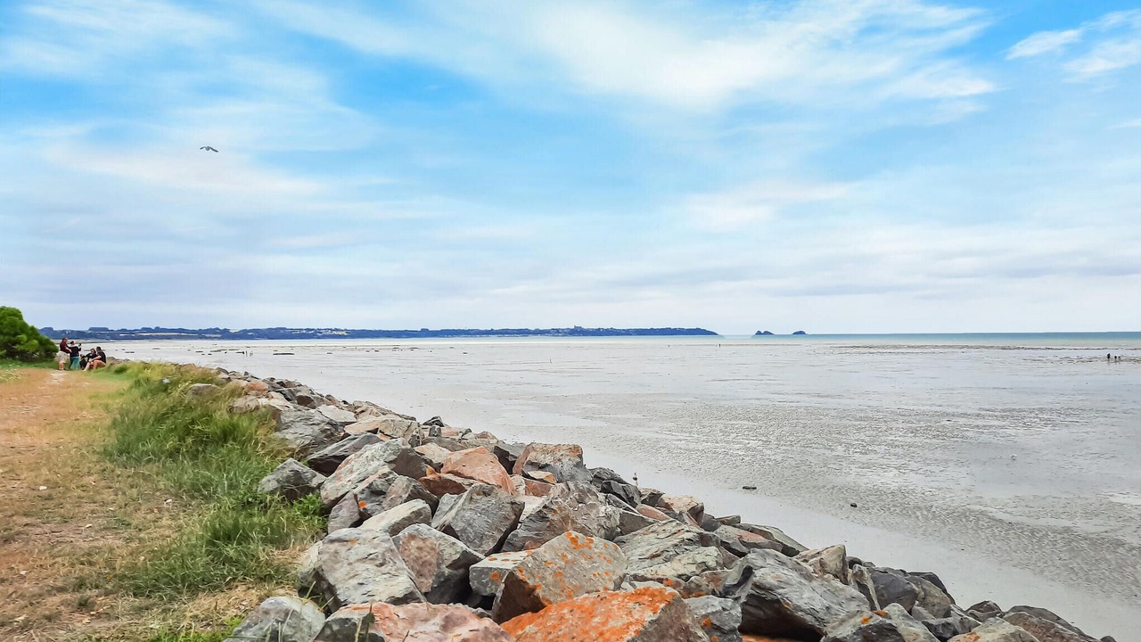 Photo of Others in Hirel