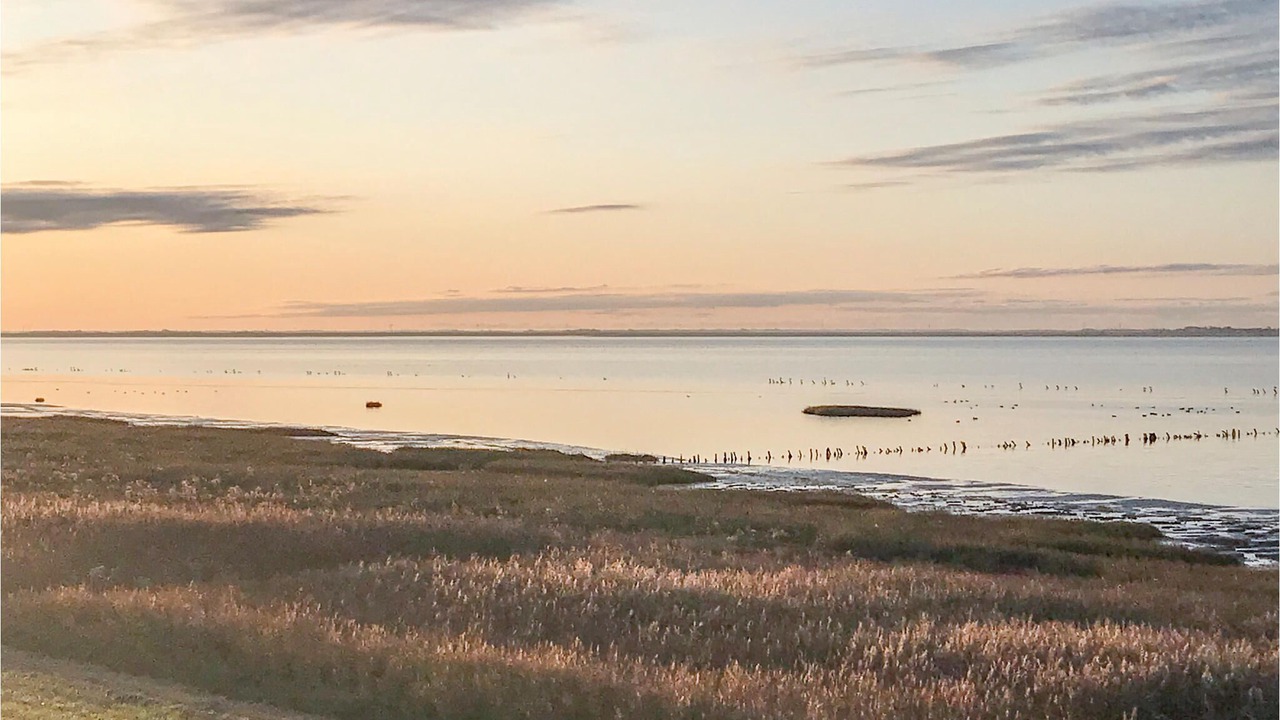 Photo of Others in Sønderstrand
