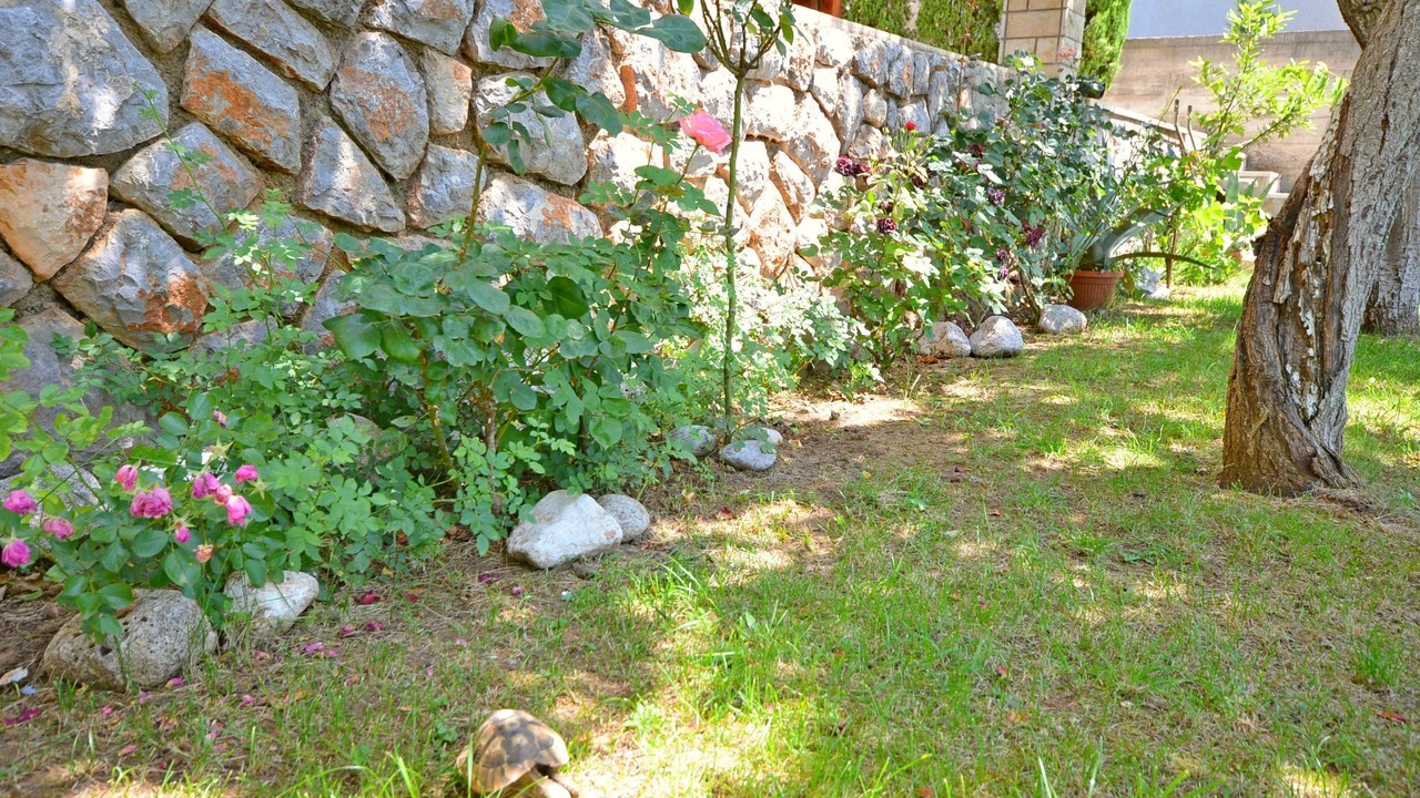 Photo of Outdoor in Senj