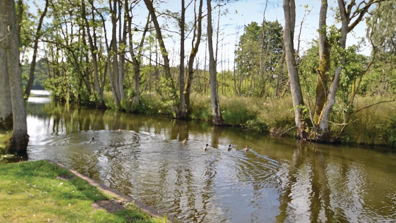 Photo of Others in Silkeborg