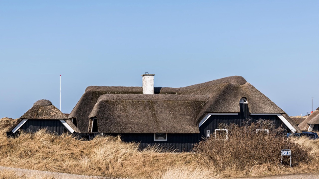 Photo of Others in Blavand Strand