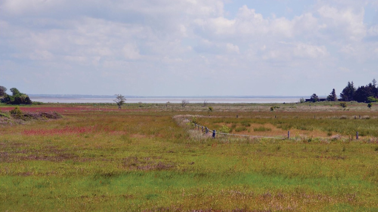 Photo of Bedroom in Kongsmark