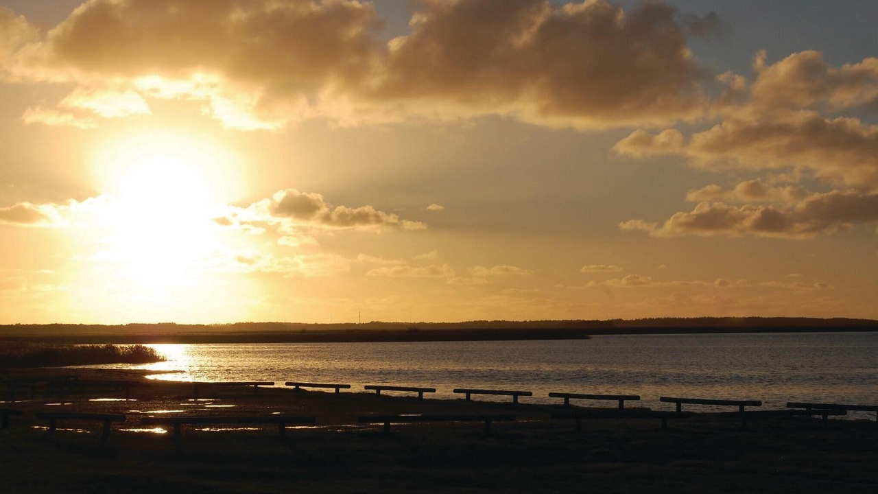 Photo of Others in Bork Havn