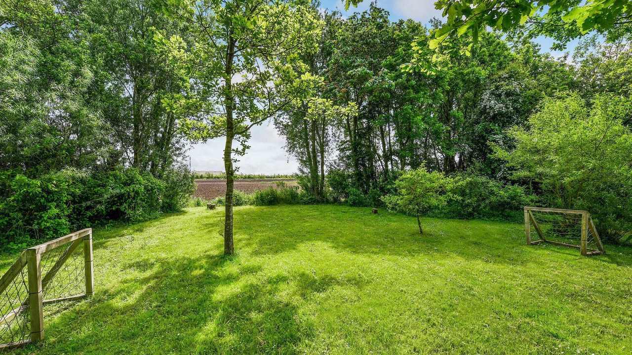 Photo of Others in Bork Havn