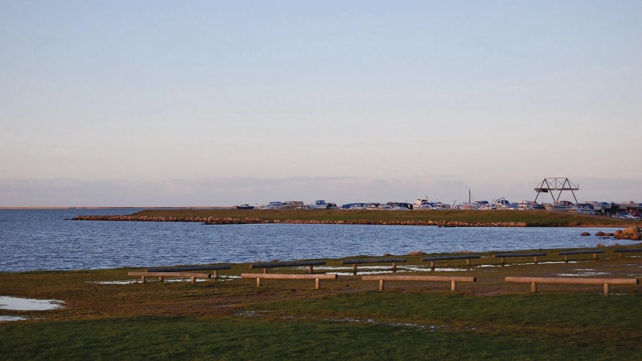 Photo of Others in Bork Havn