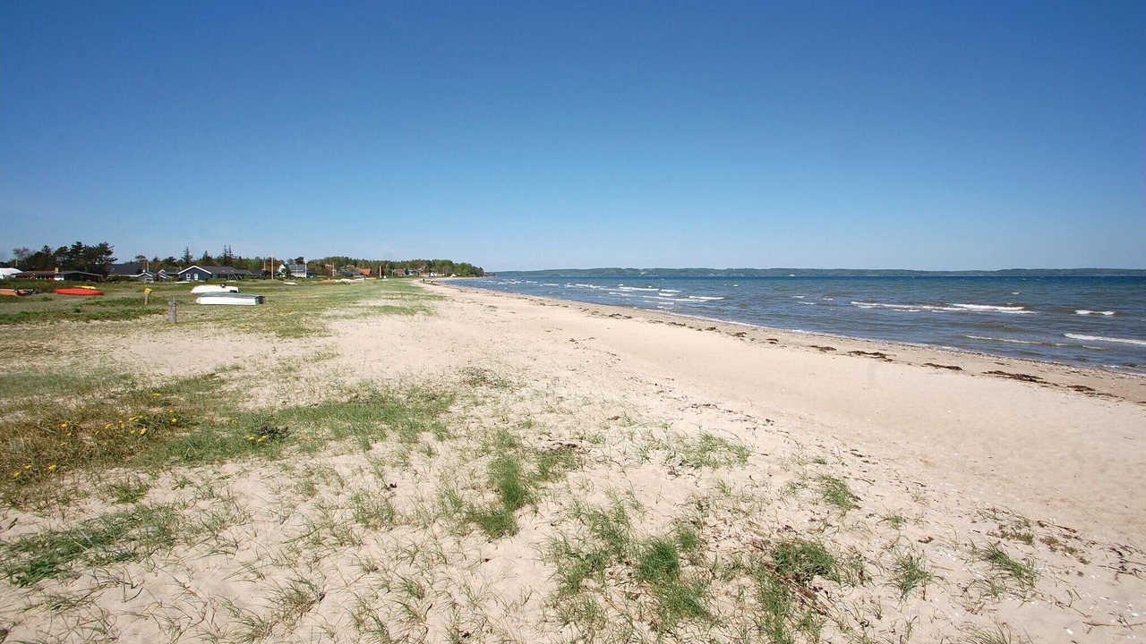 Photo of Others in Hvidbjerg Strand