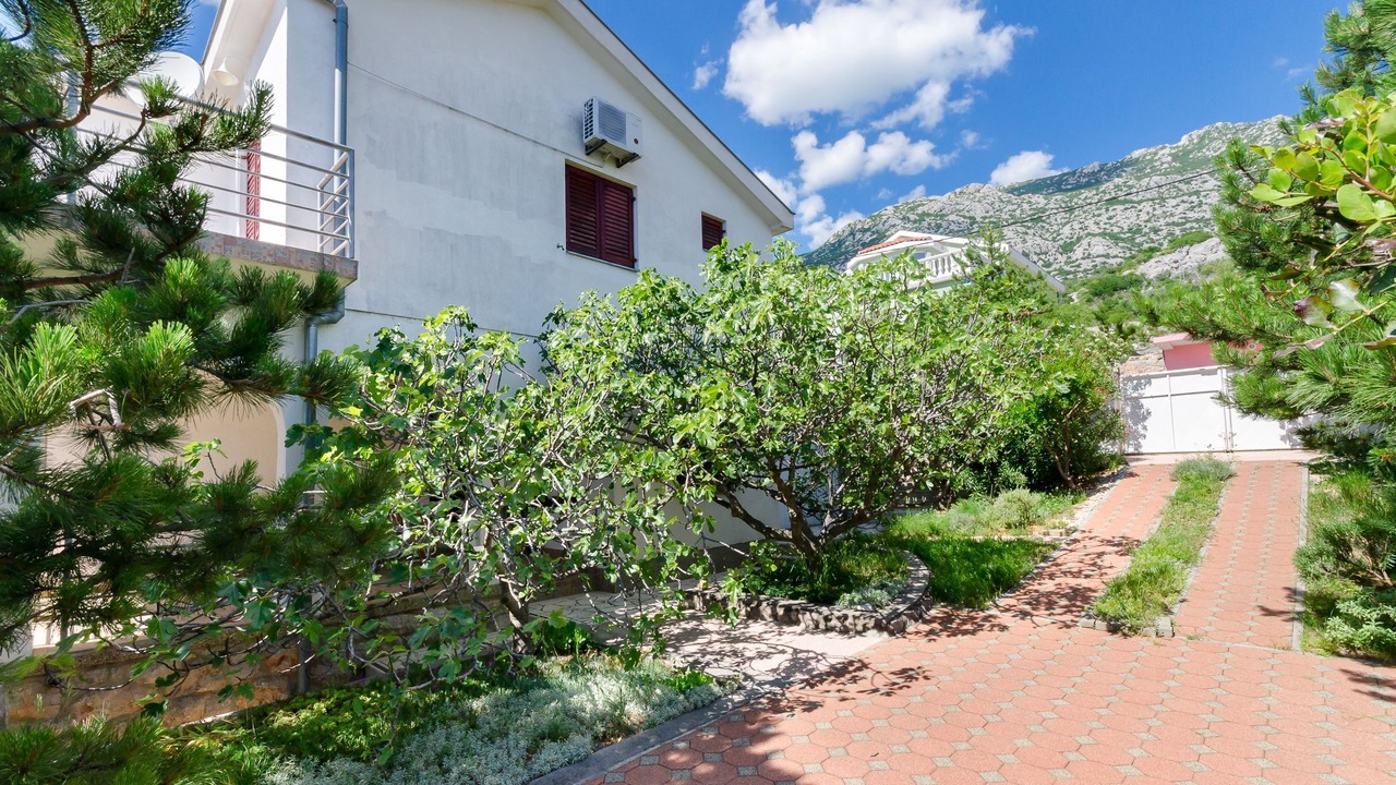 Photo of Outdoor in Ribarica