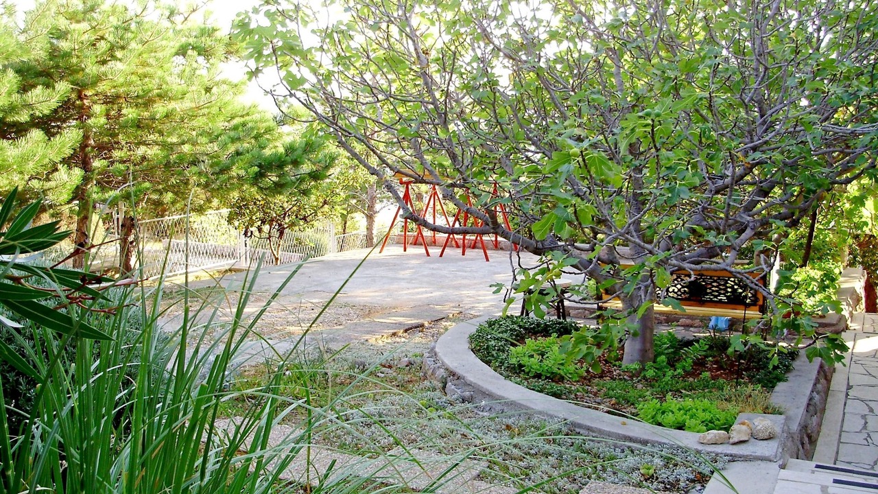 Photo of Outdoor in Ribarica