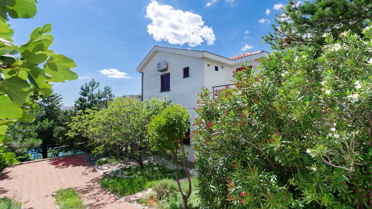 Photo of Outdoor in Ribarica